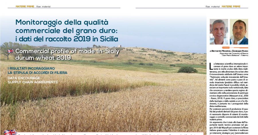 la-qualita-del-grano-duro-2019-in-sicilia