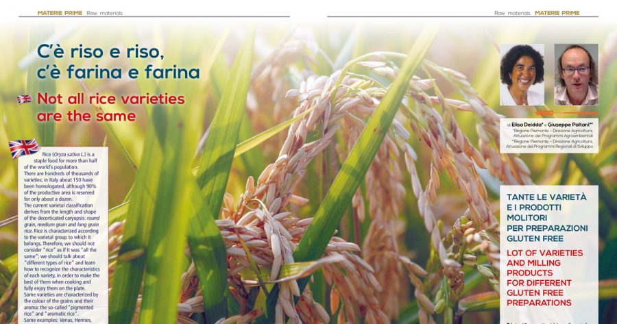 Le varietà e i metodi di macinazione del riso